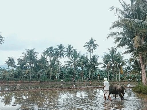 Duterte's Land Reform? Misinformed Reform!