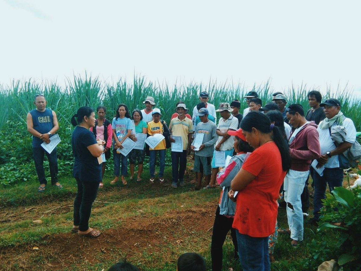 Himamaylan farmer beneficiaries receive Tongson land