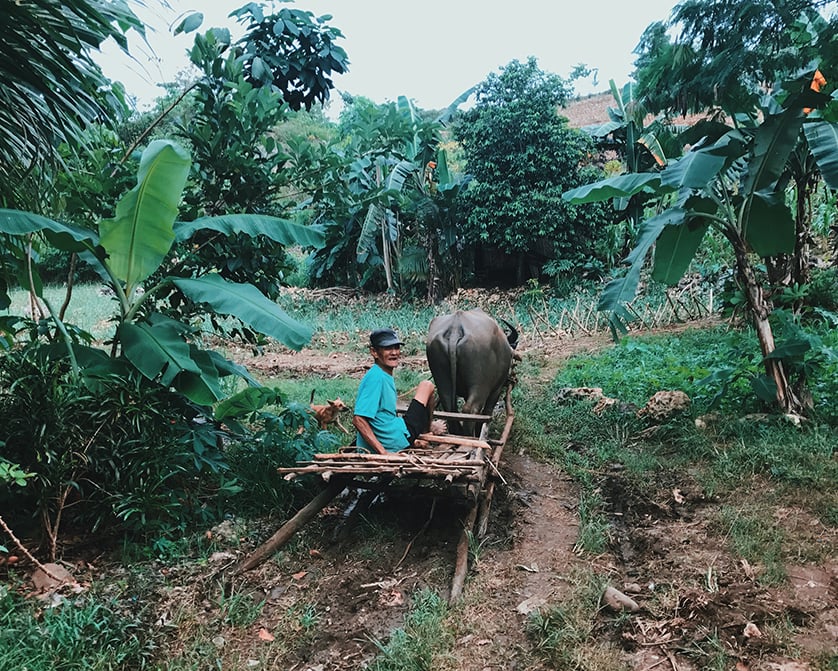 Protecting Farmers from Disasters: Getting full insurance coverage for farmer beneficiaries