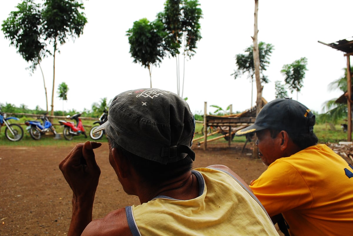 Small Farmers Make Better Use Of Land, Ensure Food Security