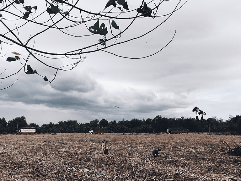 Statement on the Massacre of Farmers in Negros Oriental