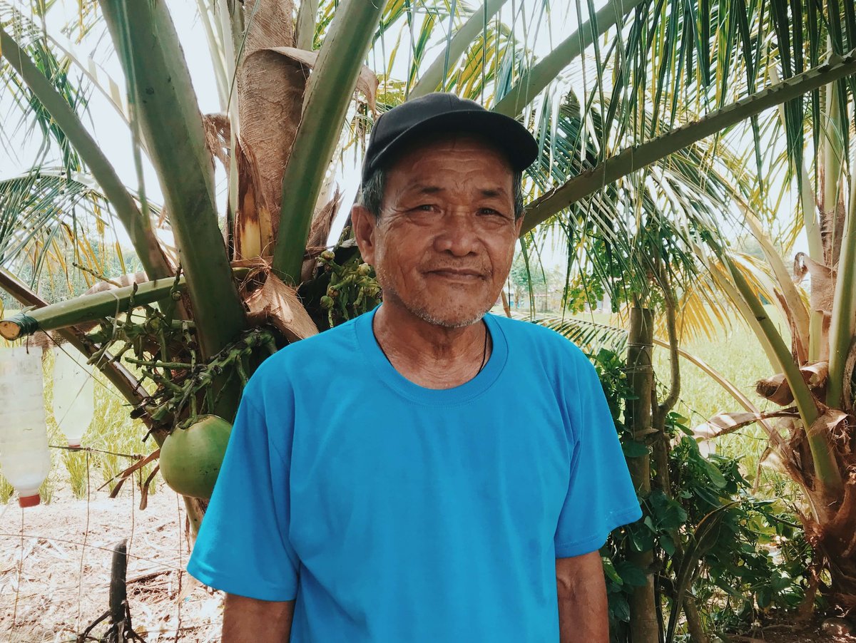 Tatay's Influence
