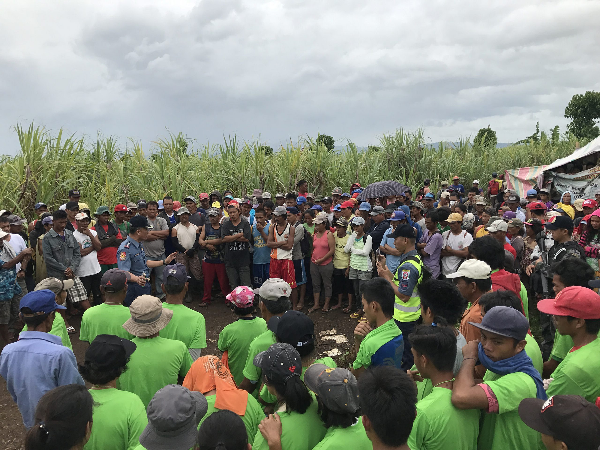 Larrazabals delay sugarcane harvest of agrarian reform beneficiaries