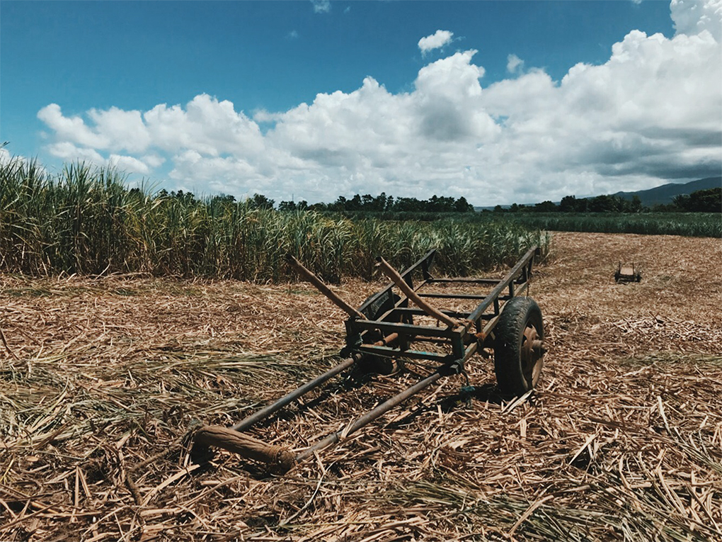 Statement on the Massacre of 9 Sugarcane Farmers in Sagay City, Negros Occidental
